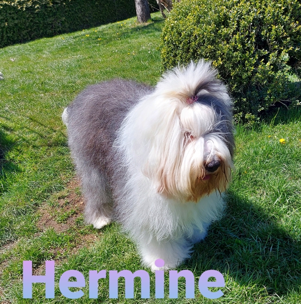 Hermine-06